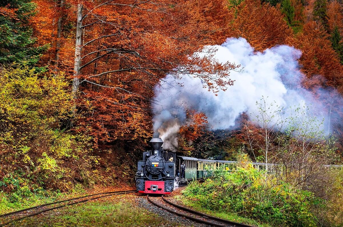 Mocanita narrow gauge train in maramures mountains