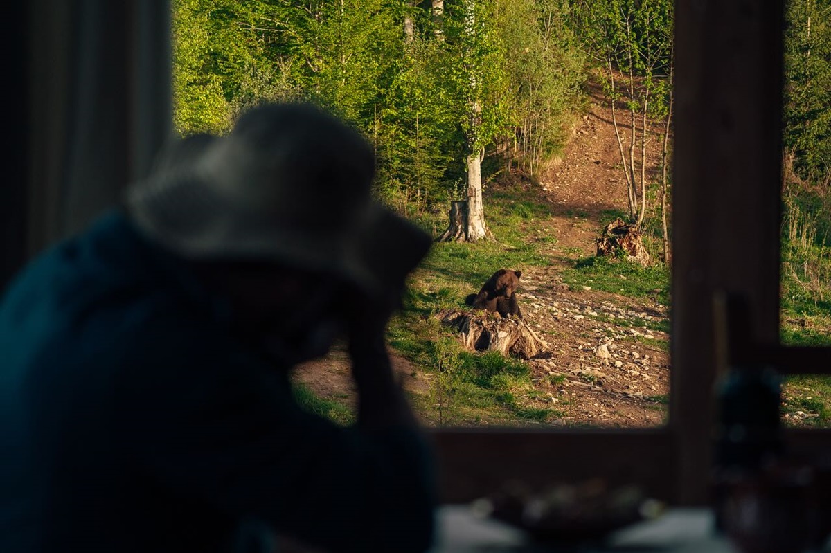 Romania Wildlife Watching